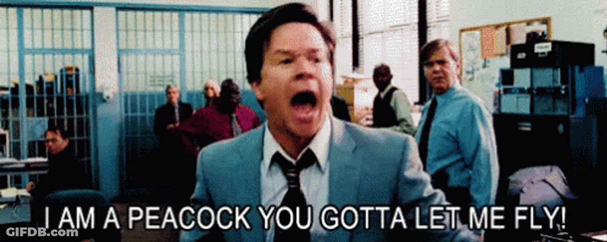 The Other Guys I Am Peacock GIF