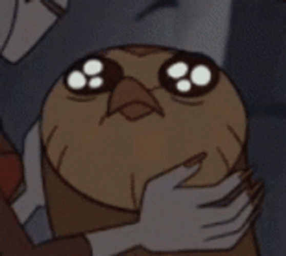 The Owl House Toh Googly Eyes GIF