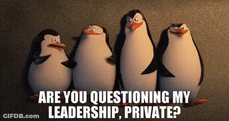 The Penguins Are You Questioning My Leadership GIF