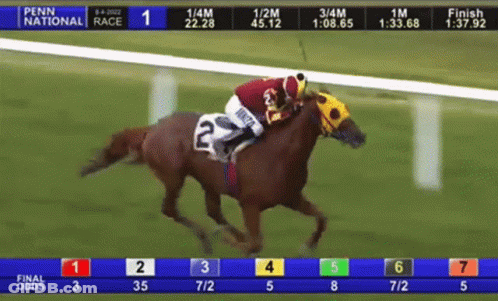 The Penn National Race Is Being Shown On A Computer Screen GIF