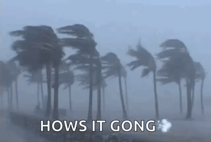 The Perfect Storm Hows It Going GIF