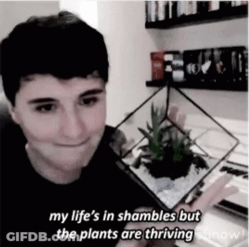 The Plants Are Thriving GIF