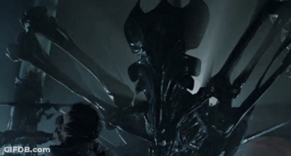 The Queen Xenomorph GIF