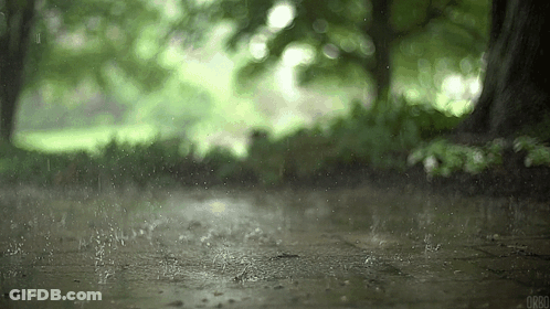 The Rain Is Falling On The Ground And Trees In The Background GIF