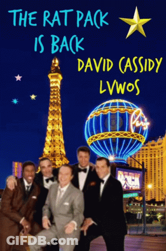 The Rat Pack Is Back David Cassidy Lvwos GIF