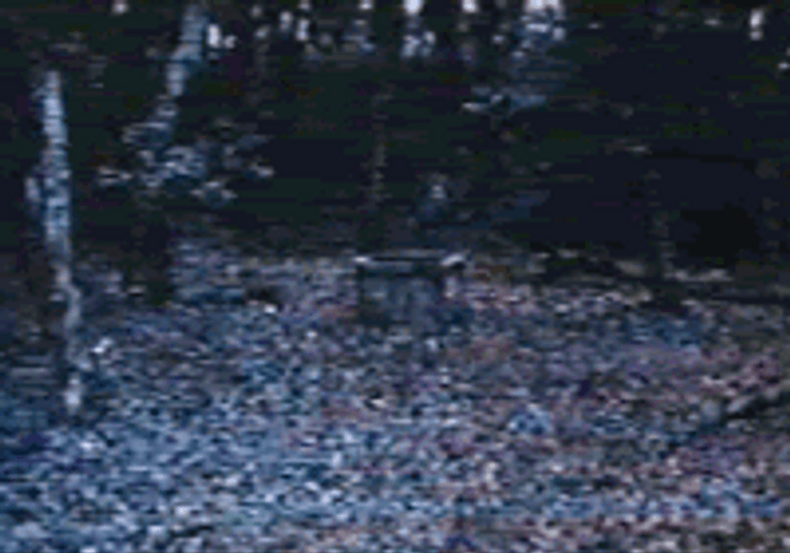 The Ring Mario Jumps Down Well Funny GIF