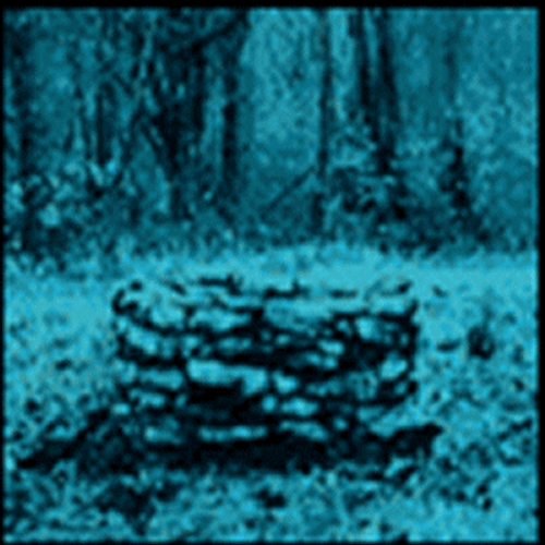 The Ring Well Sadako Appears GIF