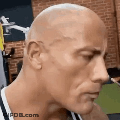 The Rock Among Us Face App Meme GIF