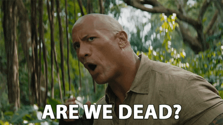 The Rock Are We Dead? GIF