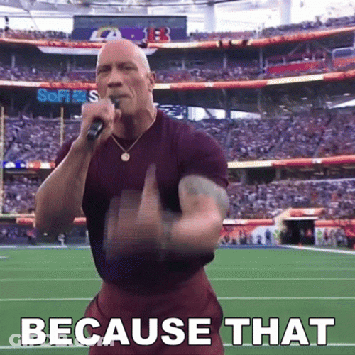 The Rock Champion GIF