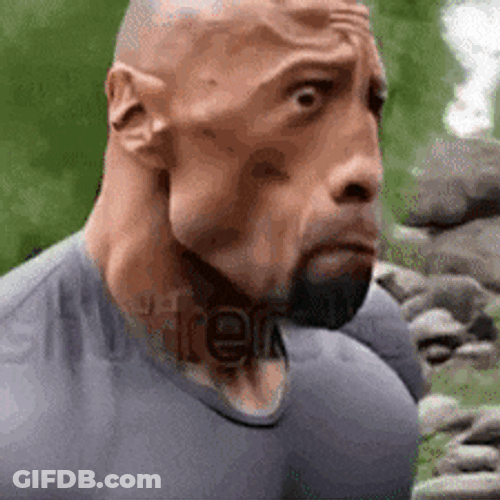 The Rock Dwayne Johnson GIF