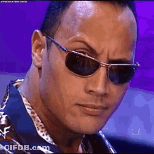 The Rock Eyebrow And Sass GIF
