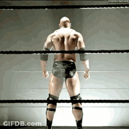 The Rock Eyebrow In The Ring GIF