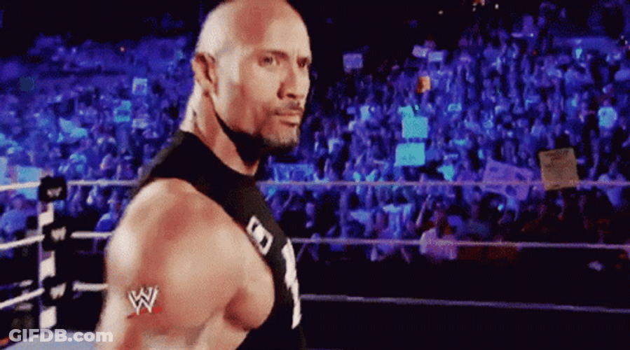 The Rock Eyebrow Meme On Raw GIF