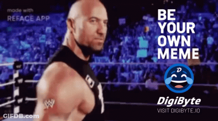 The Rock Eyebrow Meme Using Digibyte GIF