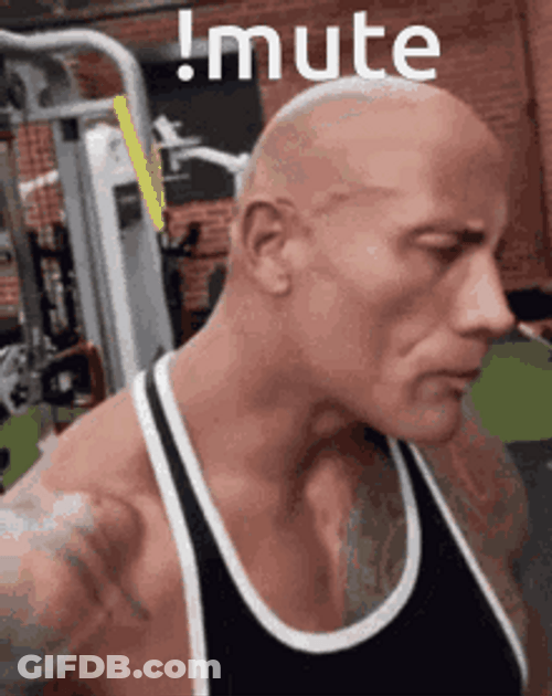 The Rock Eyebrow Mute GIF