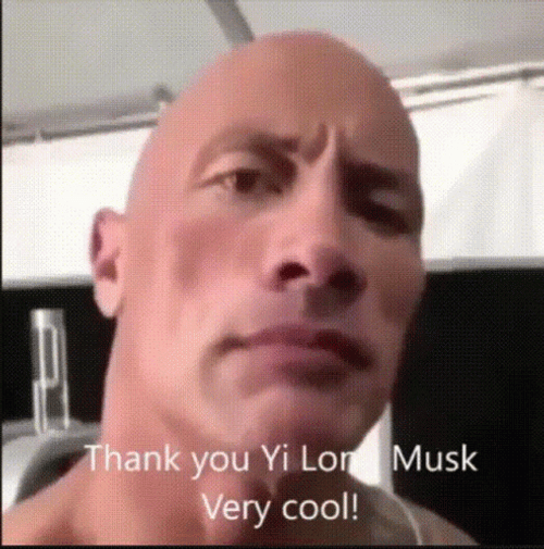 The Rock Eyebrow Raise Chinese Filter Copy Version GIF