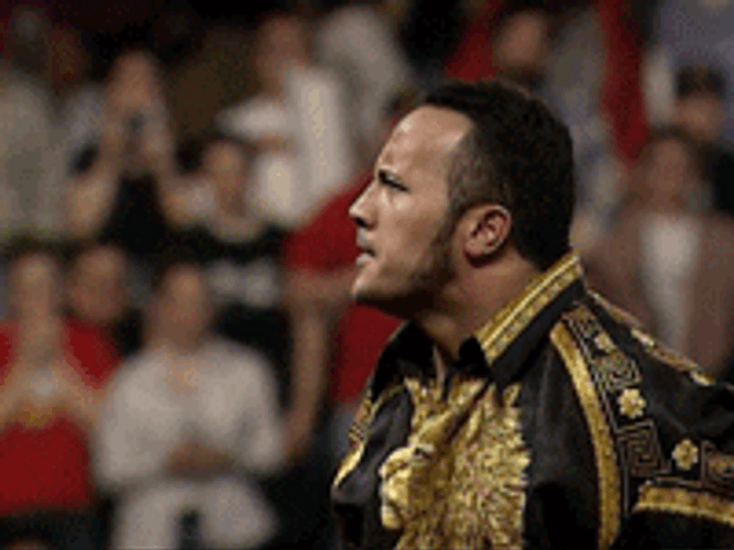 The Rock Eyebrow Raise From Something Smelly GIF