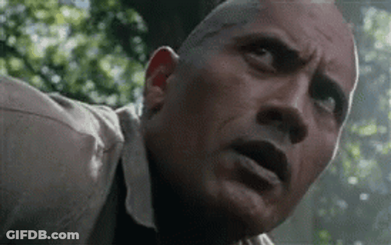 The Rock Eyebrow Raise Jumanji Entrance GIF