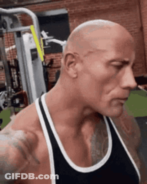 The Rock Eyebrow Raise GIF