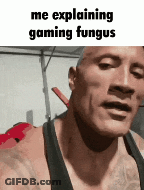 The Rock Frantic Explaining Gaming Fungus Meme GIF