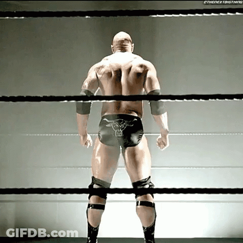 The Rock On Ring Doing Eyebrow Meme GIF