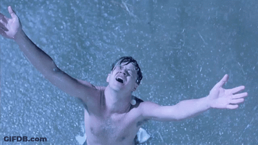 The Shawshank Freedom Scene GIF