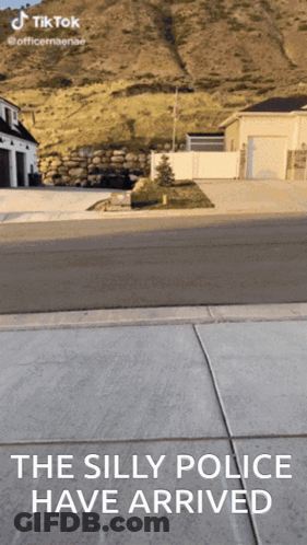 The Silly Police Have Arrived Written On A Street GIF