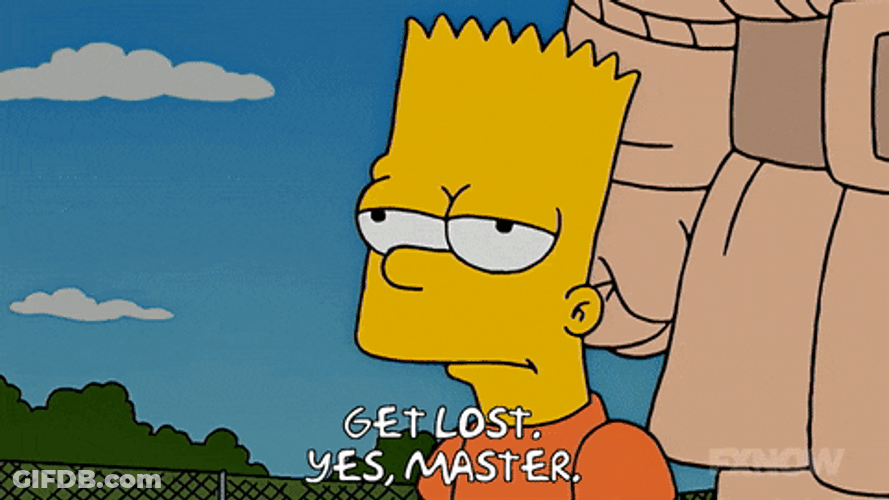 The Simpsons Bart Get Lost Yes Master GIF