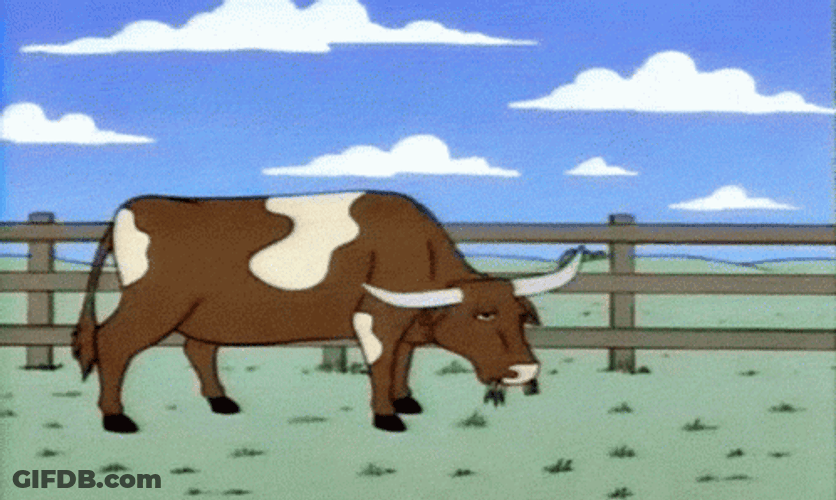 The Simpsons Cow Zoom In GIF