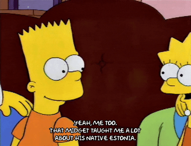 The Simpsons Estonia GIF