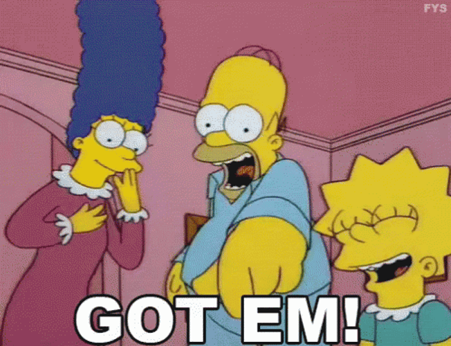 The Simpsons Funny Got Em GIF
