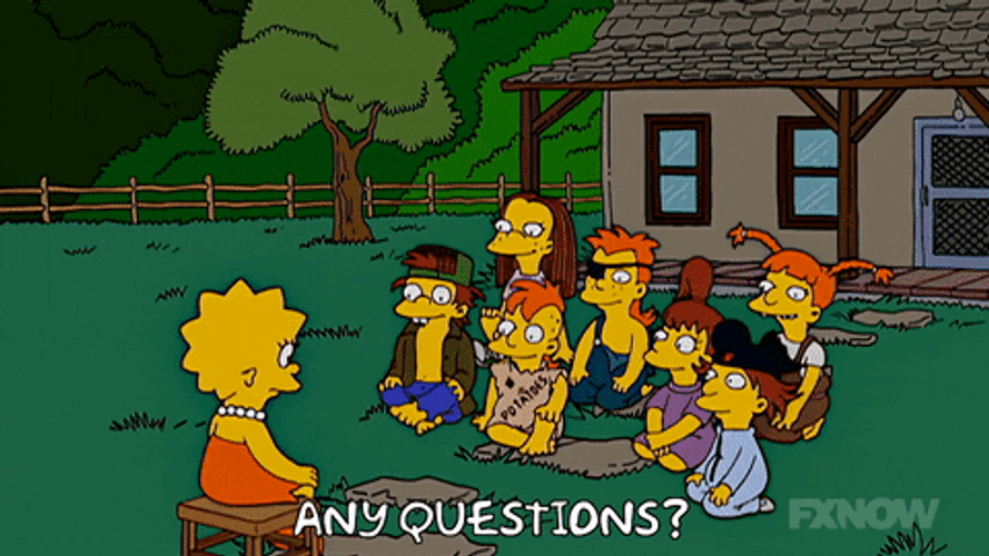 The Simpsons Lisa Simpsons Any Questions GIF