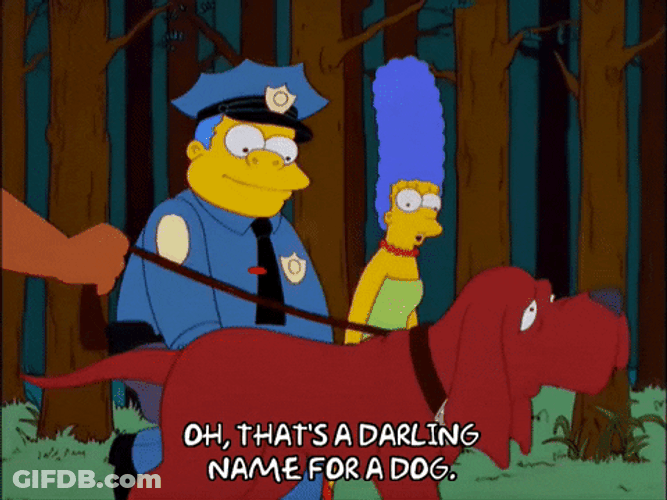 The Simpsons Name For A Dog GIF