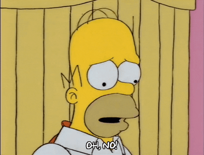 The Simpsons Oh No GIF