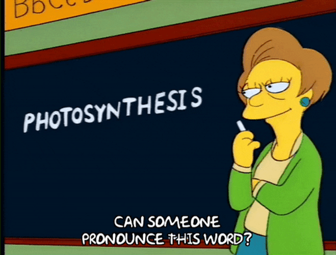 The Simpsons Pronounce Photosynthesis GIF