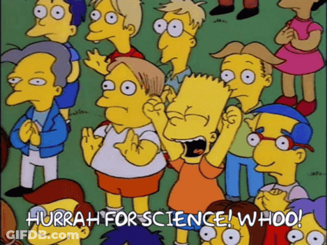 The Simpsons Sitcom Bart Hurrah For Science GIF