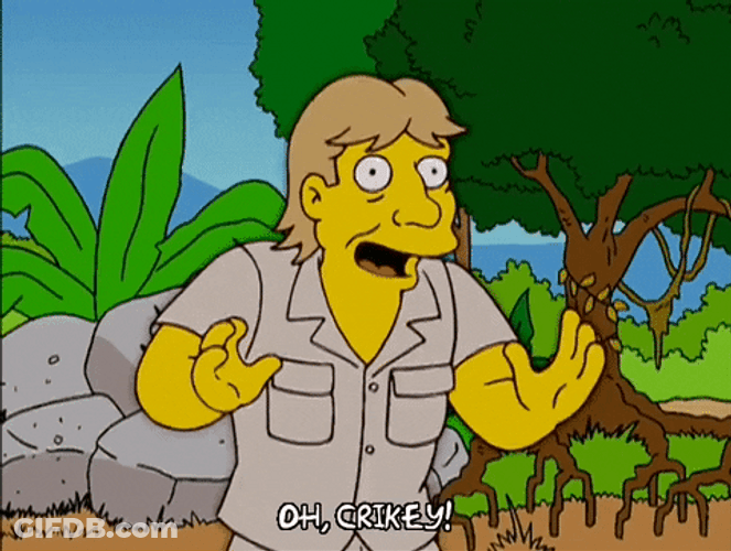 The Simpsons Steve Irwin Bitten By Croc GIF