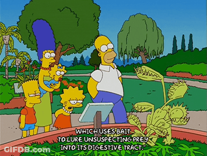 The Simpsons Venus Fly Trap GIF