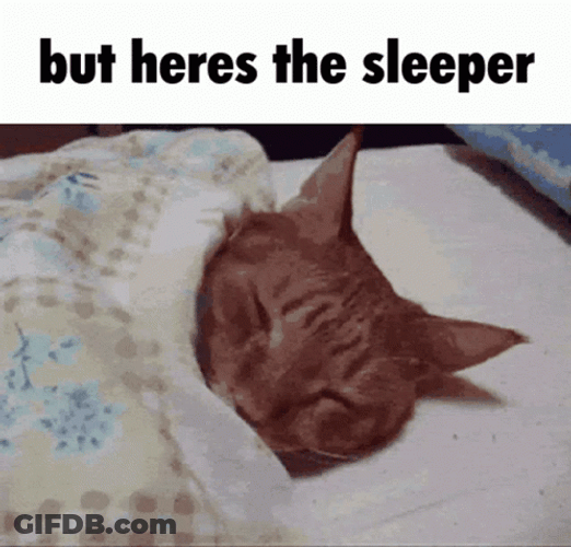 The Sleeper Cute Ginger Cat GIF