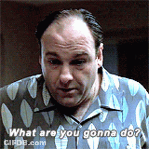 The Sopranos Tony Soprano GIF