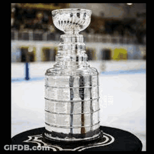 The Stanley Champion Cup GIF