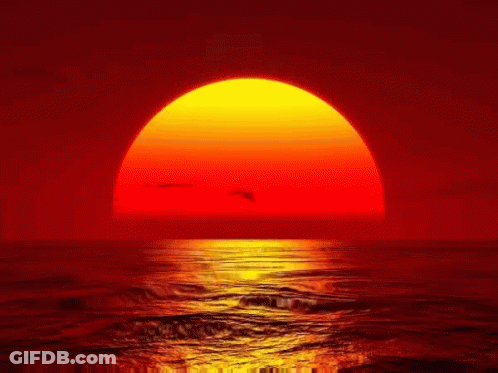The Sun Is Setting Over The Ocean With Birds Flying Overhead GIF