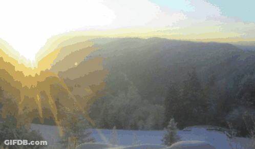 The Sun Is Shining Through The Clouds Over A Snowy Forest GIF