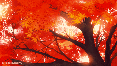 The Sun Is Shining Through The Leaves Of The Tree GIF