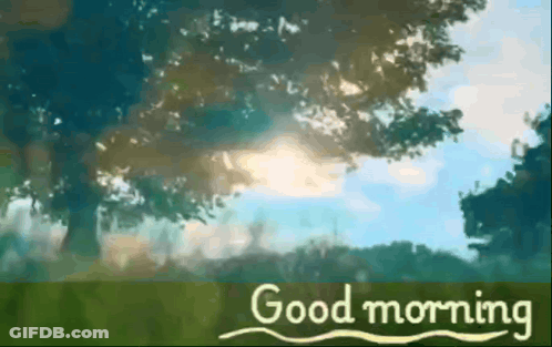 The Sun Is Shining Through The Trees And The Words Good Morning Are Visible GIF