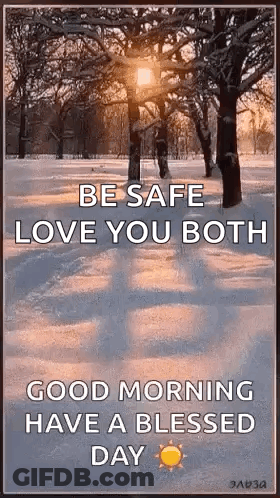 The Sun Is Shining Through The Trees In The Snow . GIF