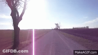 The Sun Is Shining Through The Trees On The Side Of The Road GIF