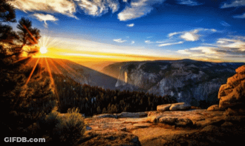 The Sun Shines Brightly Through The Trees In The Mountains GIF