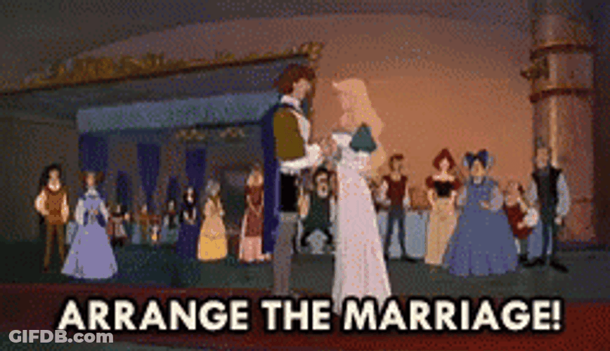 The Swan Princess Arrange The Marriage GIF